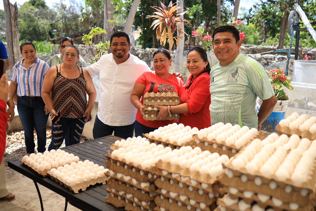 En #Seybaplaya, realizamos la entrega de huevo a bajo costo, una acción que apoya directamente la economía del hogar y ayuda a que más familias puedan llevar alimento de calidad a su mesa.

Sabemos que cuando apoyamos la economía familiar, fortalecemos a toda nuestra comunidad.