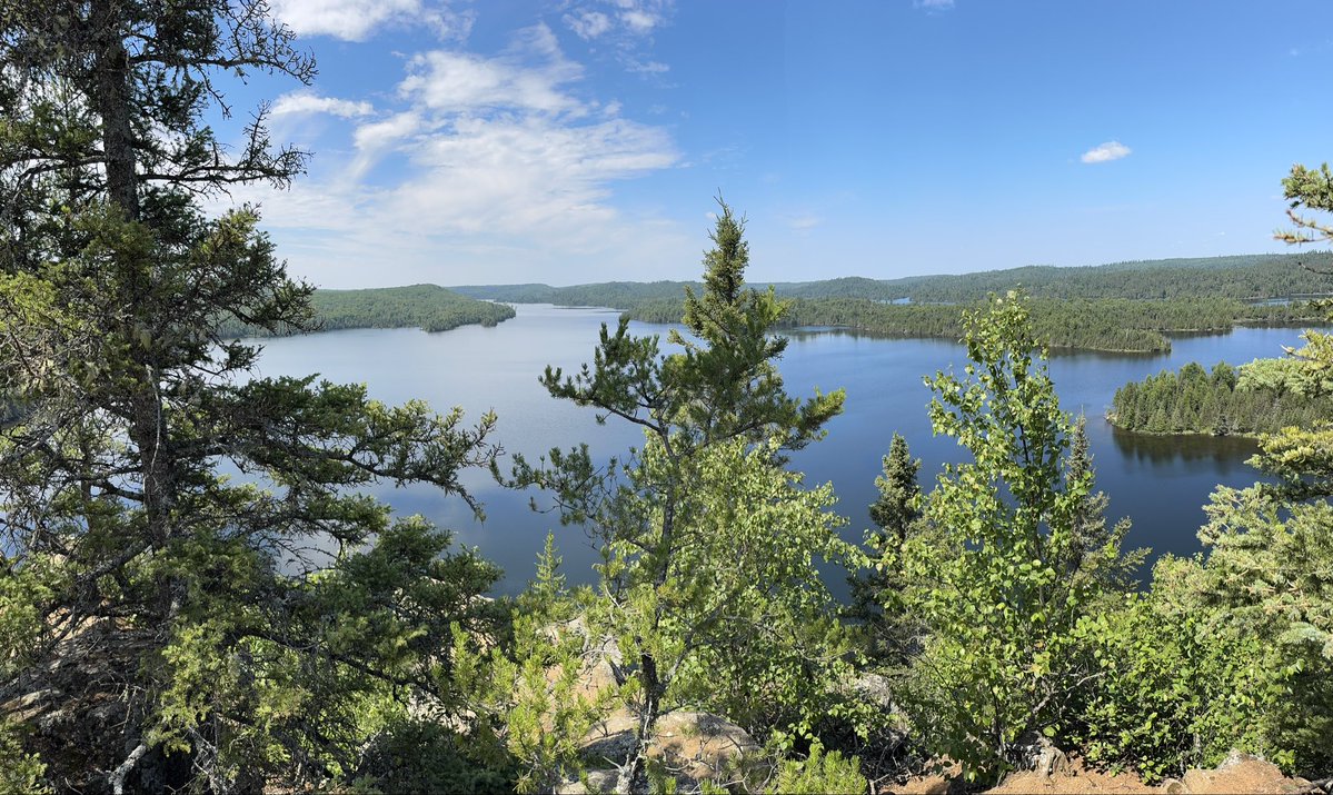 Tyler Stone tweet media