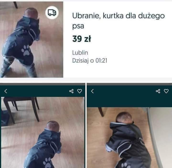 Eric 🇵🇱 tweet media