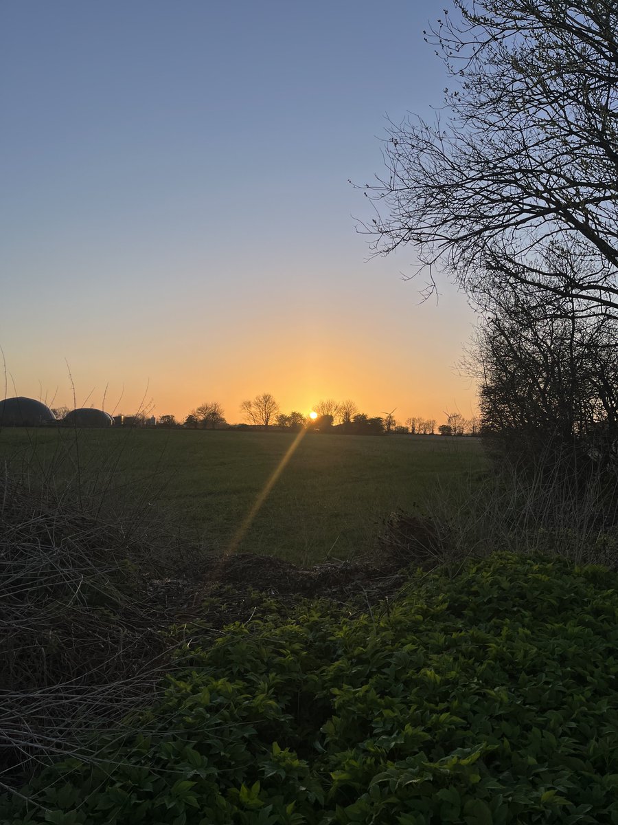 ShahidMAskerN's tweet image. A beautiful day is nearing its end.☀️🧡🍷
#Germany