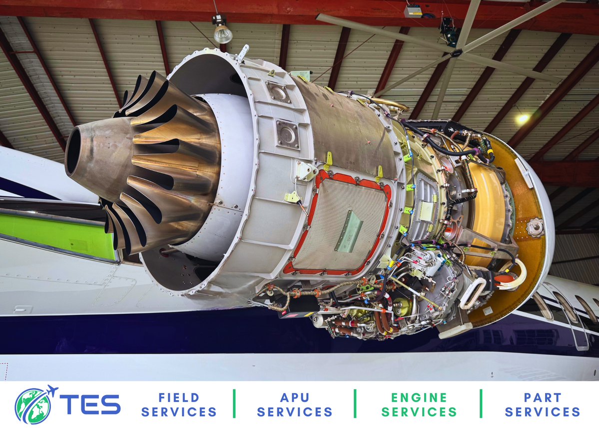 TES Services tweet media