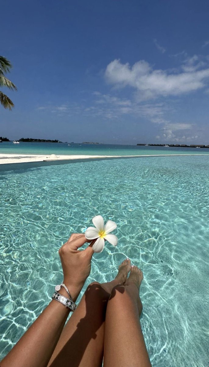 The Nature tweet media