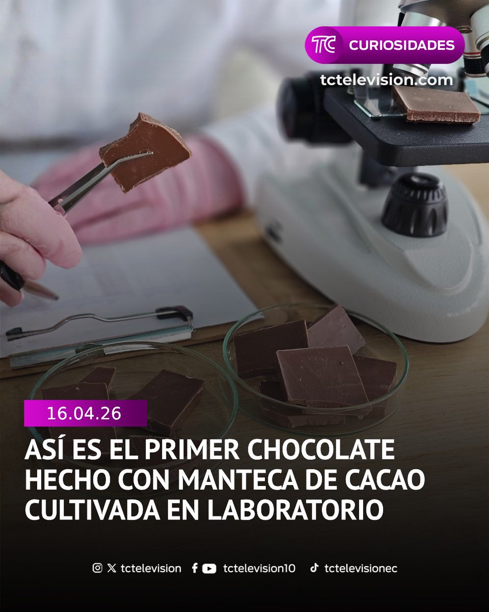 TC Entretenimiento tweet media