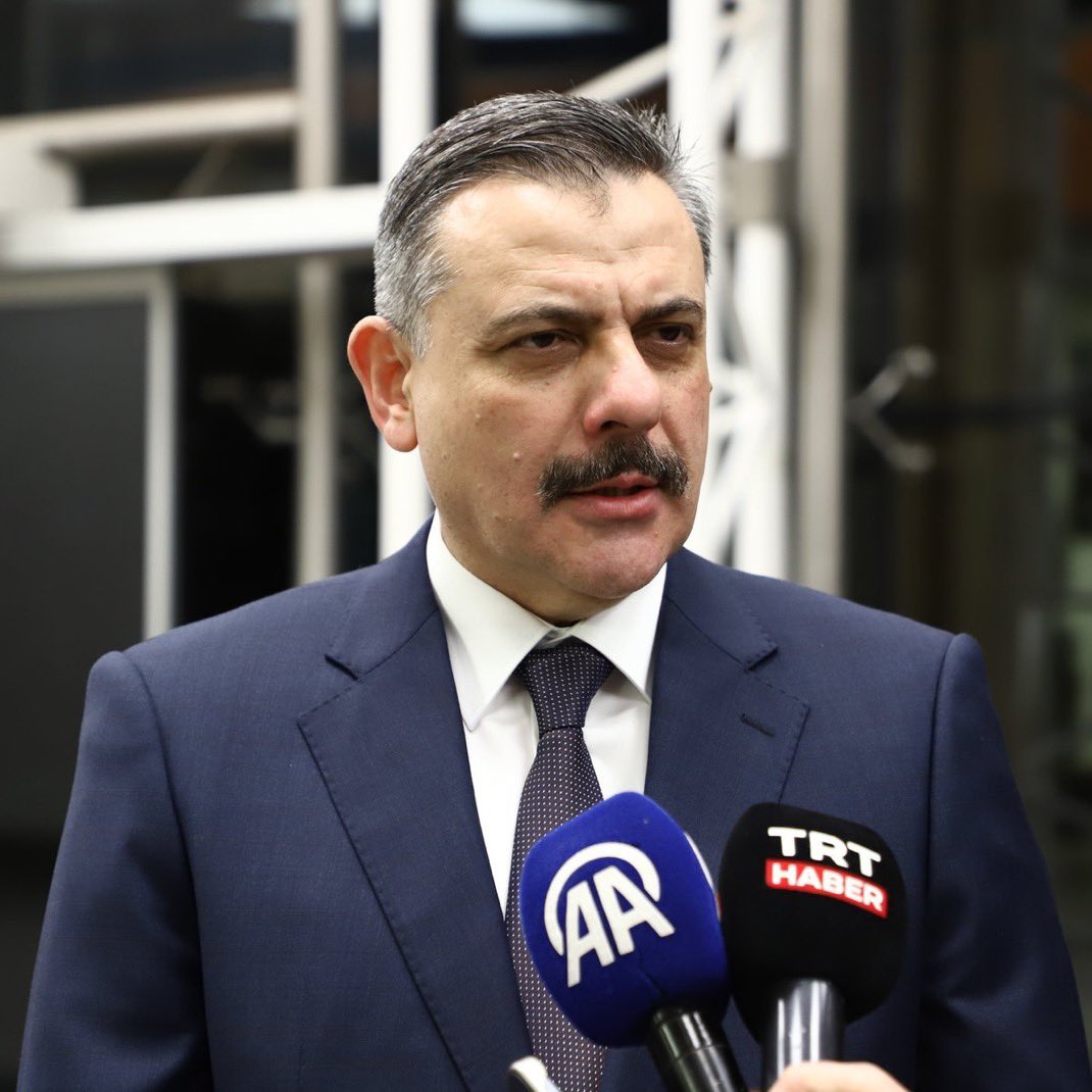 Sokak Kedisi tweet media