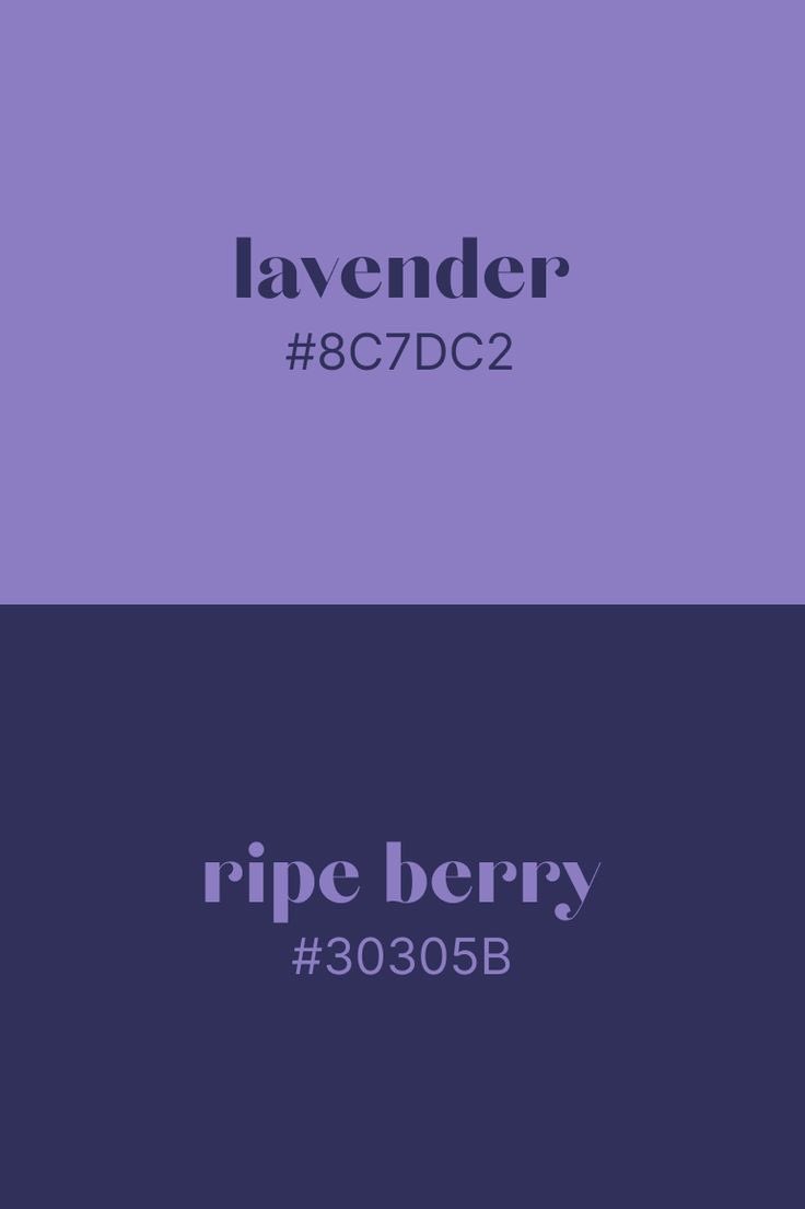 violet✧*｡ tweet media