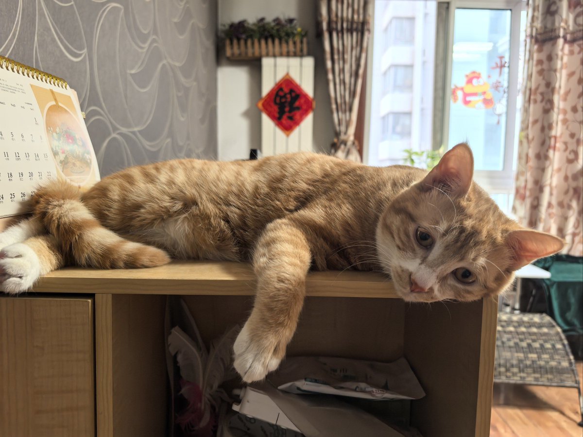 Kendall Sorenson-Cla tweet media