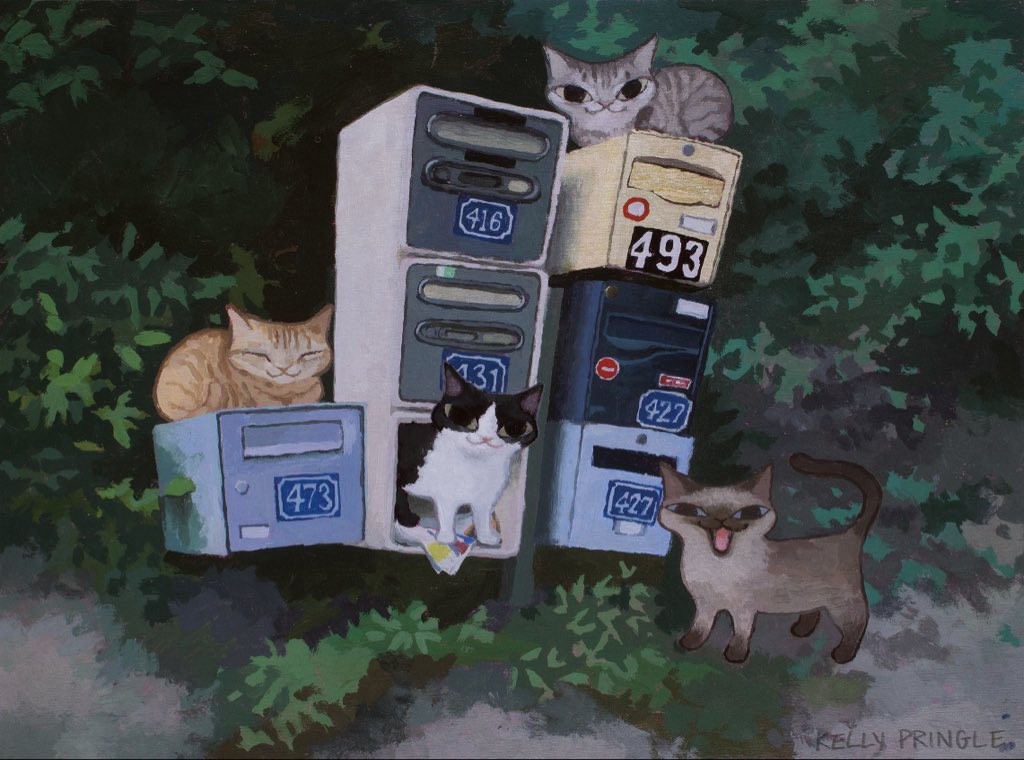 🌎Kelly Pringle🌎 tweet media