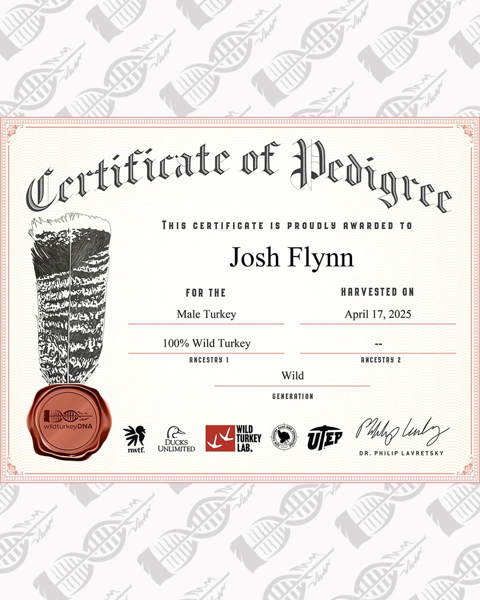 wildturkeyDNA tweet media