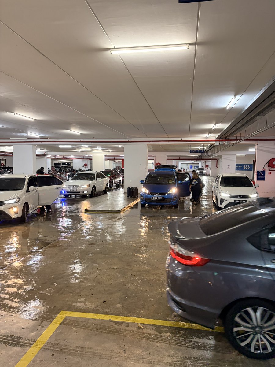 𓆩⟡𓆪 tweet media