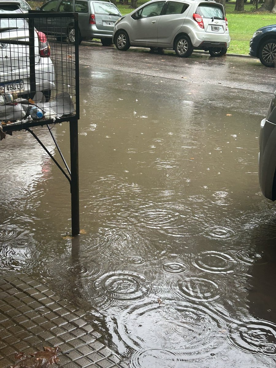 folkosmots's tweet image. a seis meses de la llegada de bts al país ya empezó la promo del arirang tour en la plata❤️ #SWIM #KEEPSWIMMING