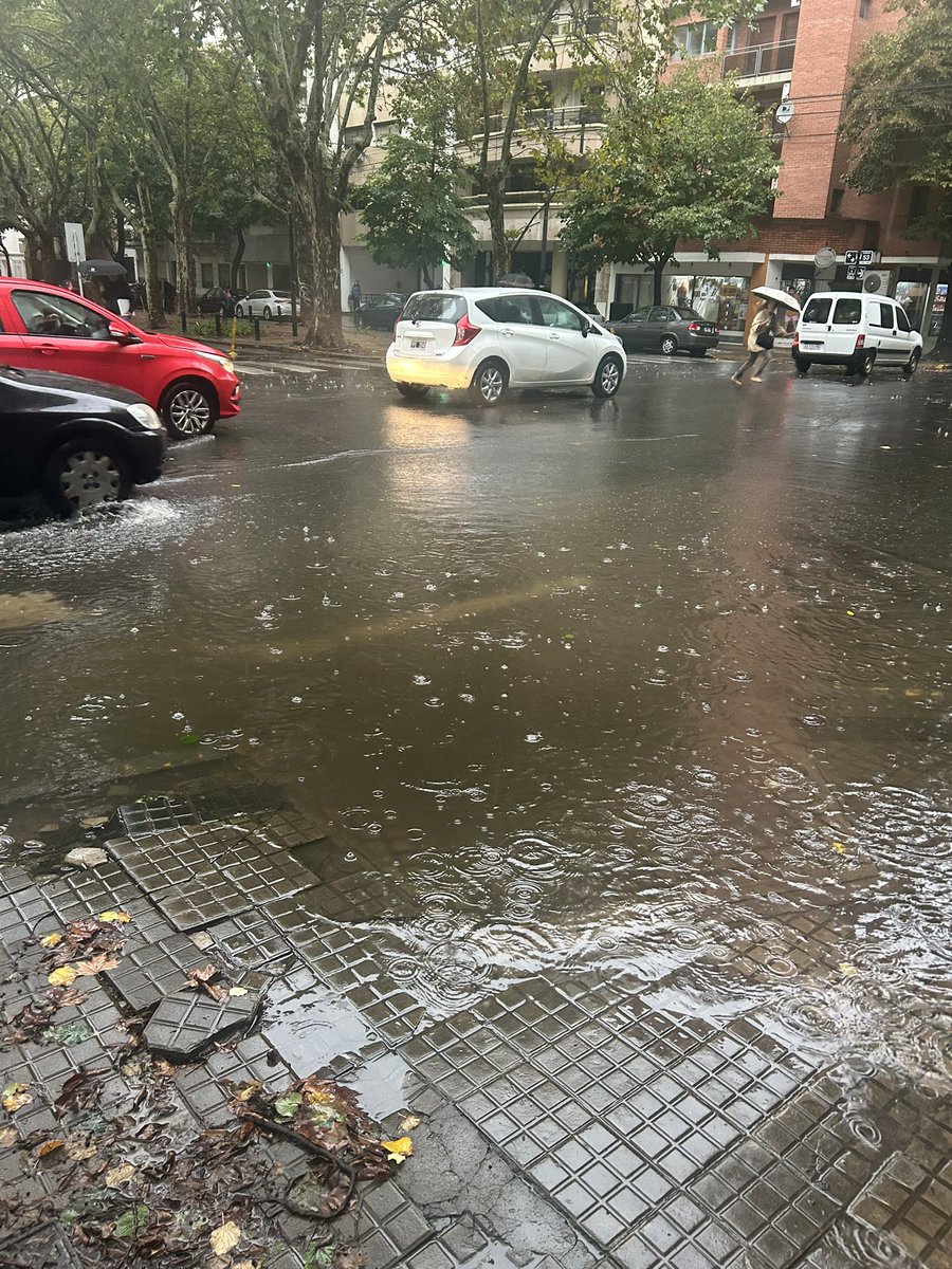 folkosmots's tweet image. a seis meses de la llegada de bts al país ya empezó la promo del arirang tour en la plata❤️ #SWIM #KEEPSWIMMING