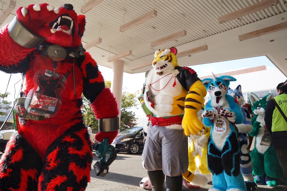 猫の思念体 tweet media