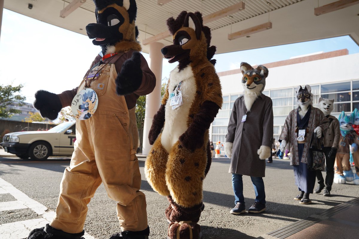 猫の思念体 tweet media