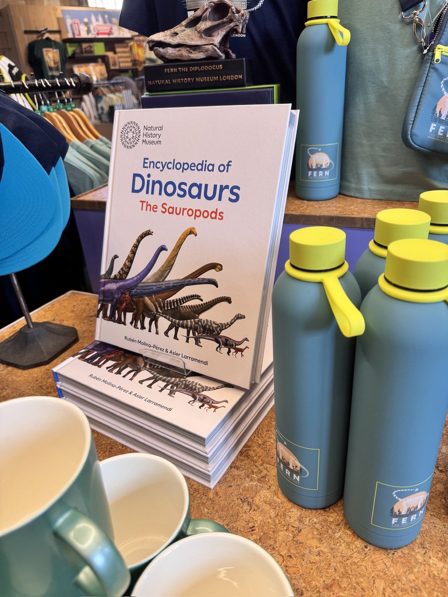 TOKYOMODELING@次回はWF2026s tweet media