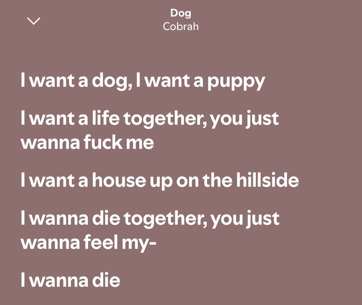 swoley cannoli 💕 tweet media