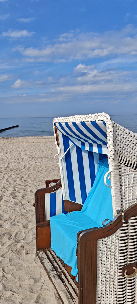 MartinaS. tweet media