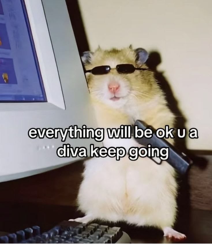 아이셔 tweet media