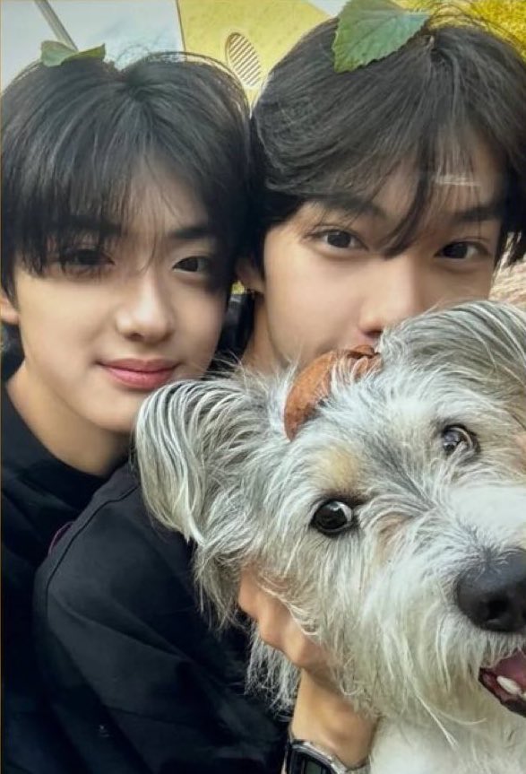 두부🤍˶ᕱ⑅ᕱ゙ tweet media