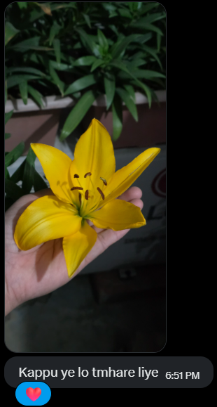 Kaps🐦‍🔥 tweet media