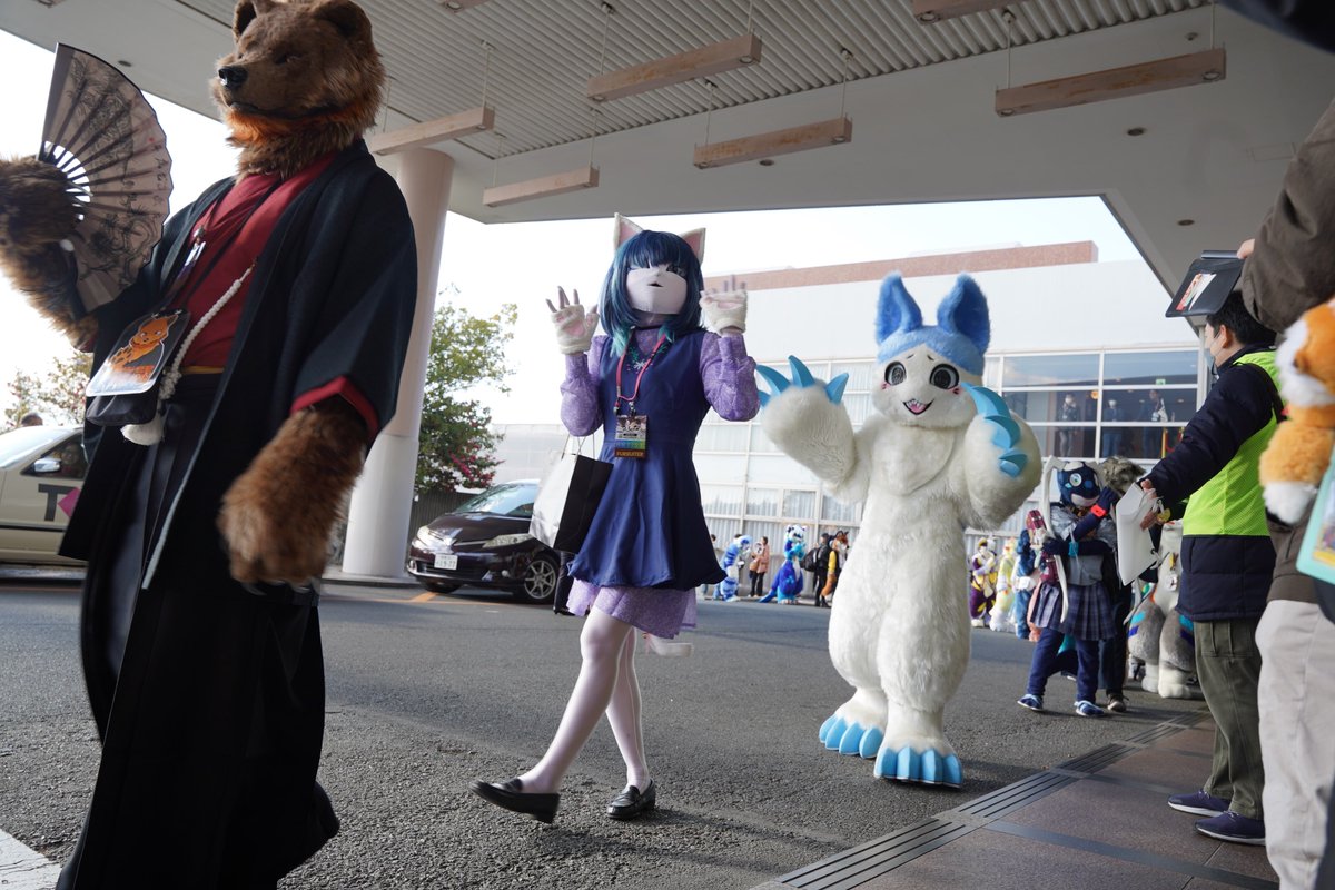 猫の思念体 tweet media