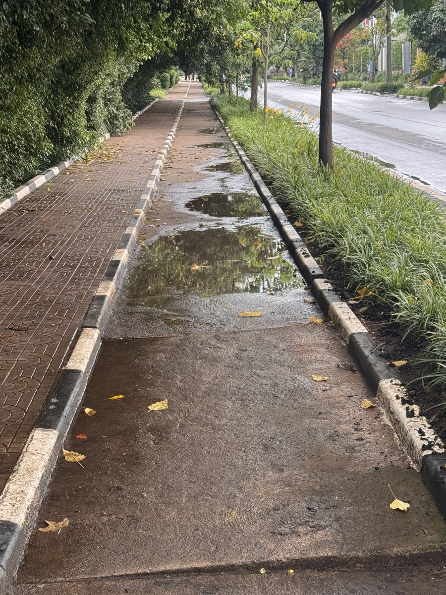 Murenzi Abdallaziz tweet media