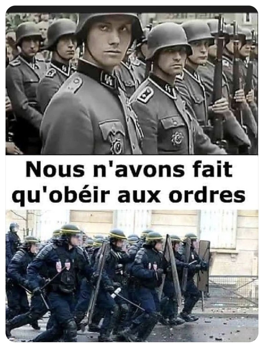 Véronique Breizh tweet media