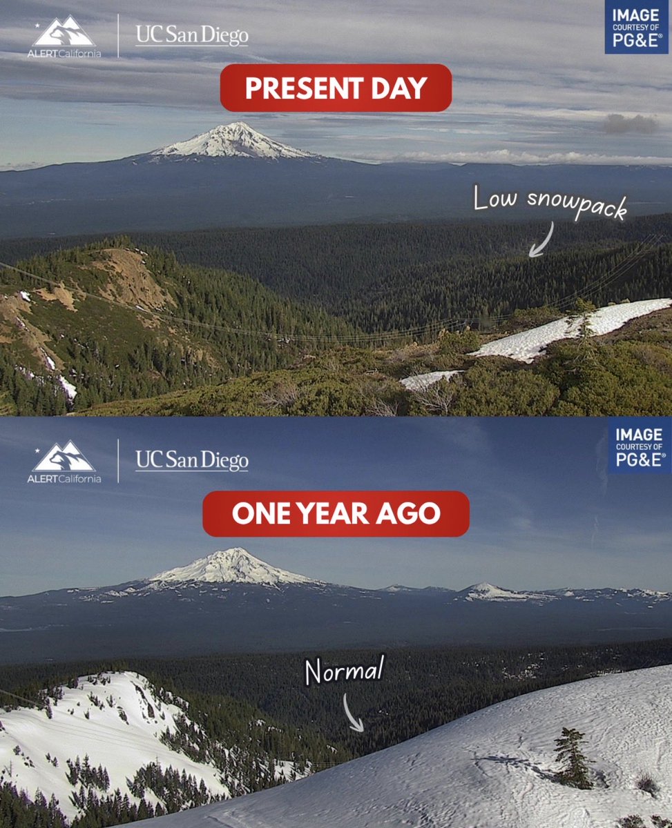 CAL FIRE Chief tweet media