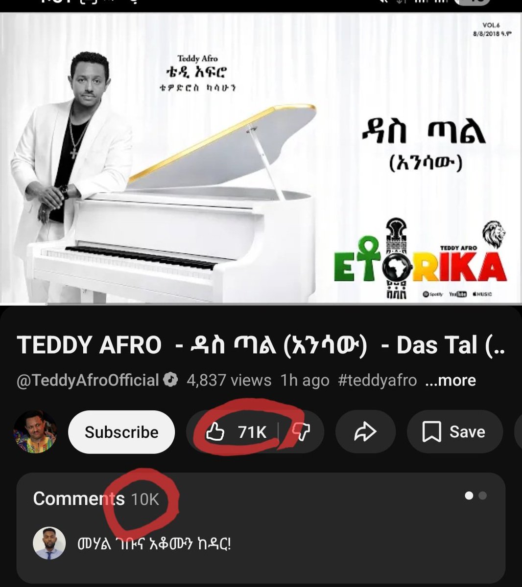 Eco Savvy tweet media