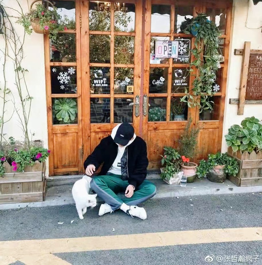 Amanda Xu (ZhangZhehan Fan) tweet media