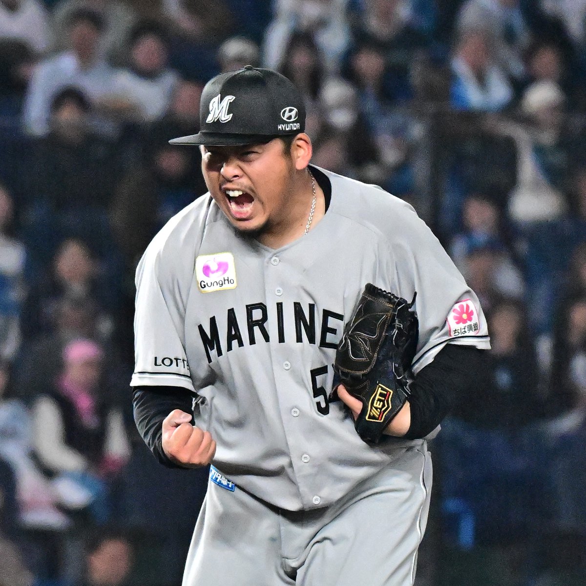 千葉日報スポーツ tweet media