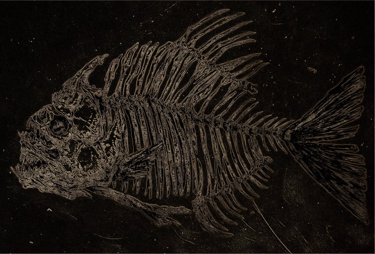 サカモト tweet media