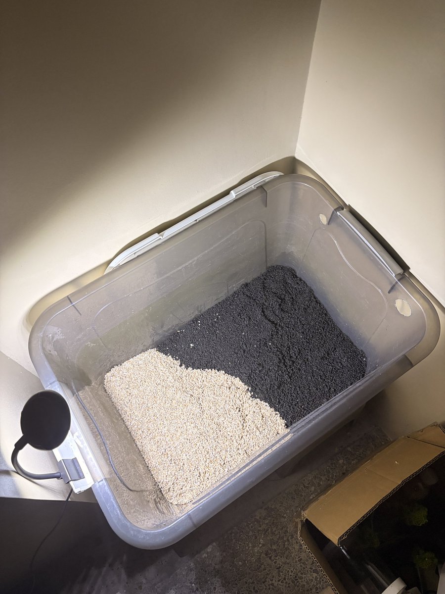 Thirdy 🐺 tweet media