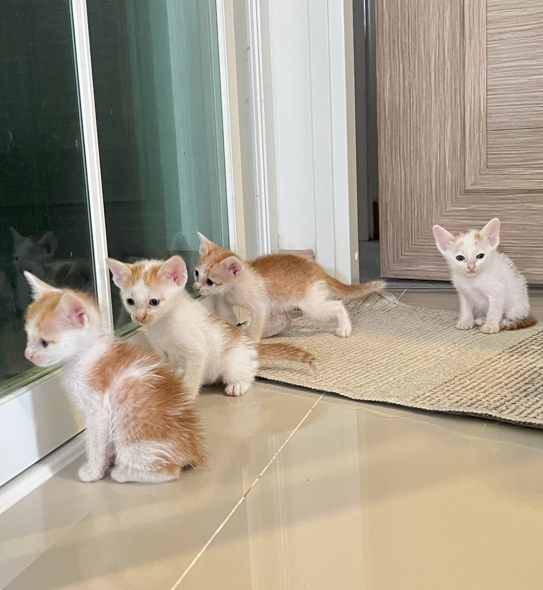 Mizukii'ⒿⒽ&..🩵 tweet media