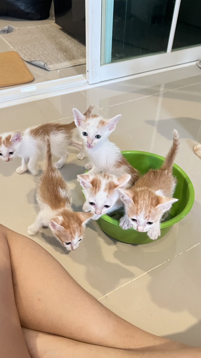 Mizukii'ⒿⒽ&..🩵 tweet media