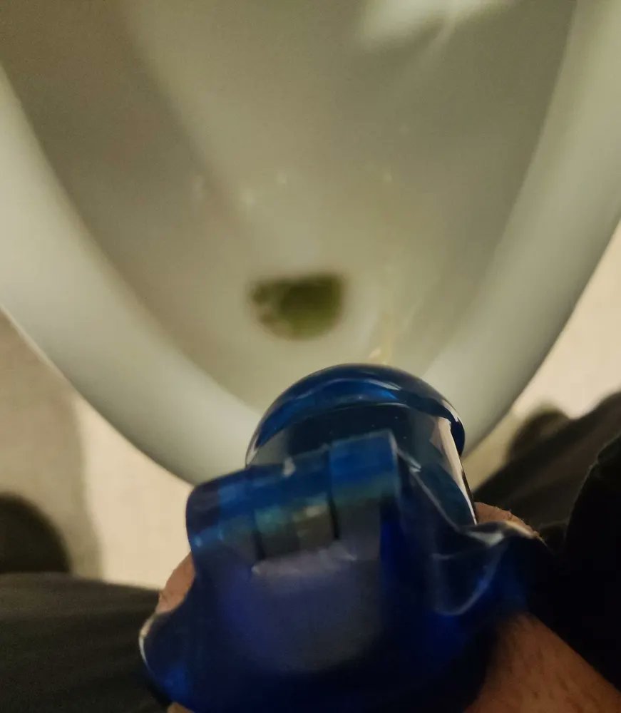 ToyPervert tweet media