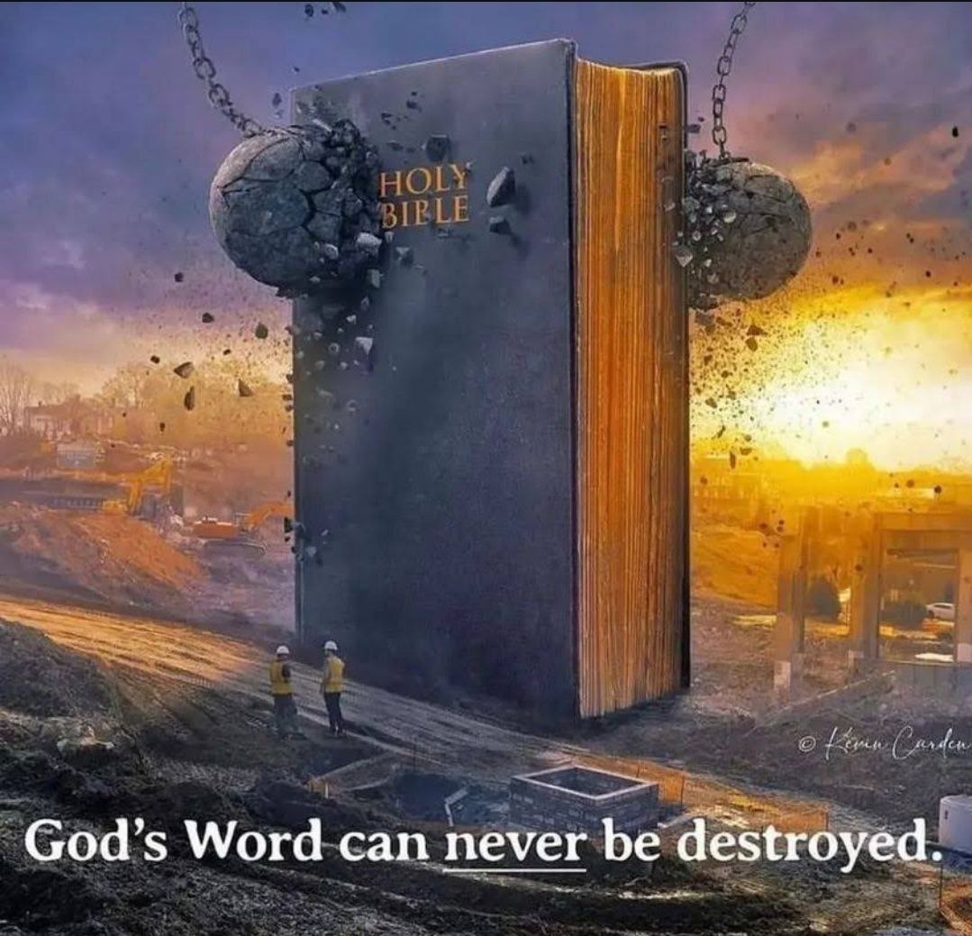 Benjamin Rapture Ready tweet media