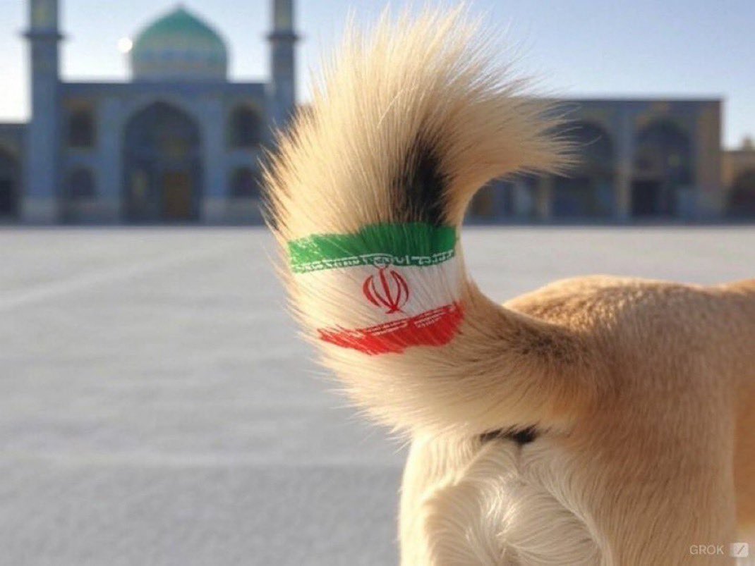 mohammed tweet media