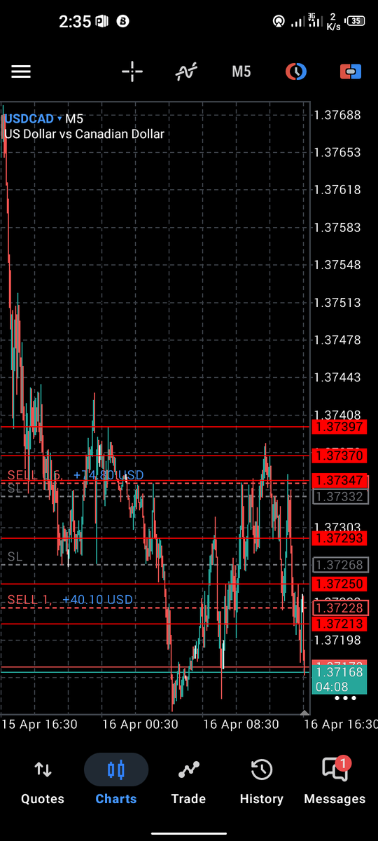 KING TRADE tweet media