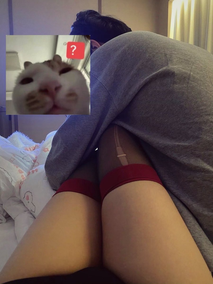 宝宝呆 tweet media