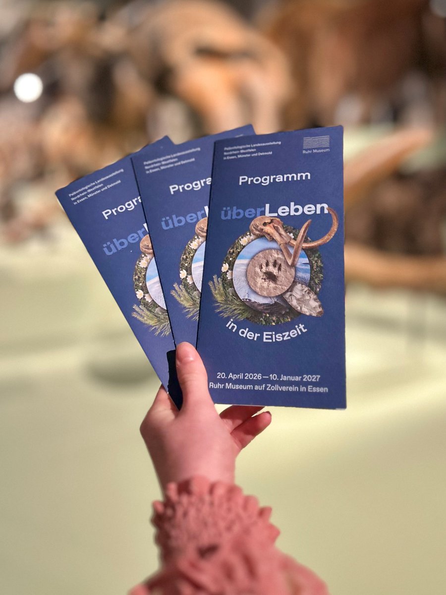 Ruhr Museum tweet media