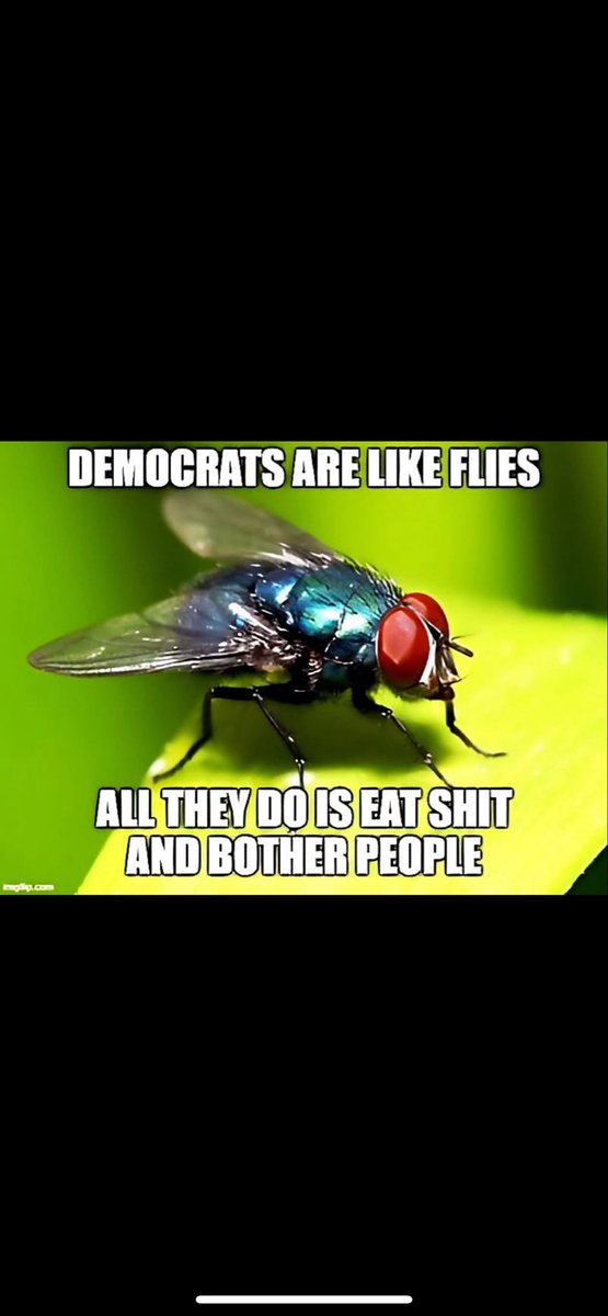 Anti Liberal tweet media