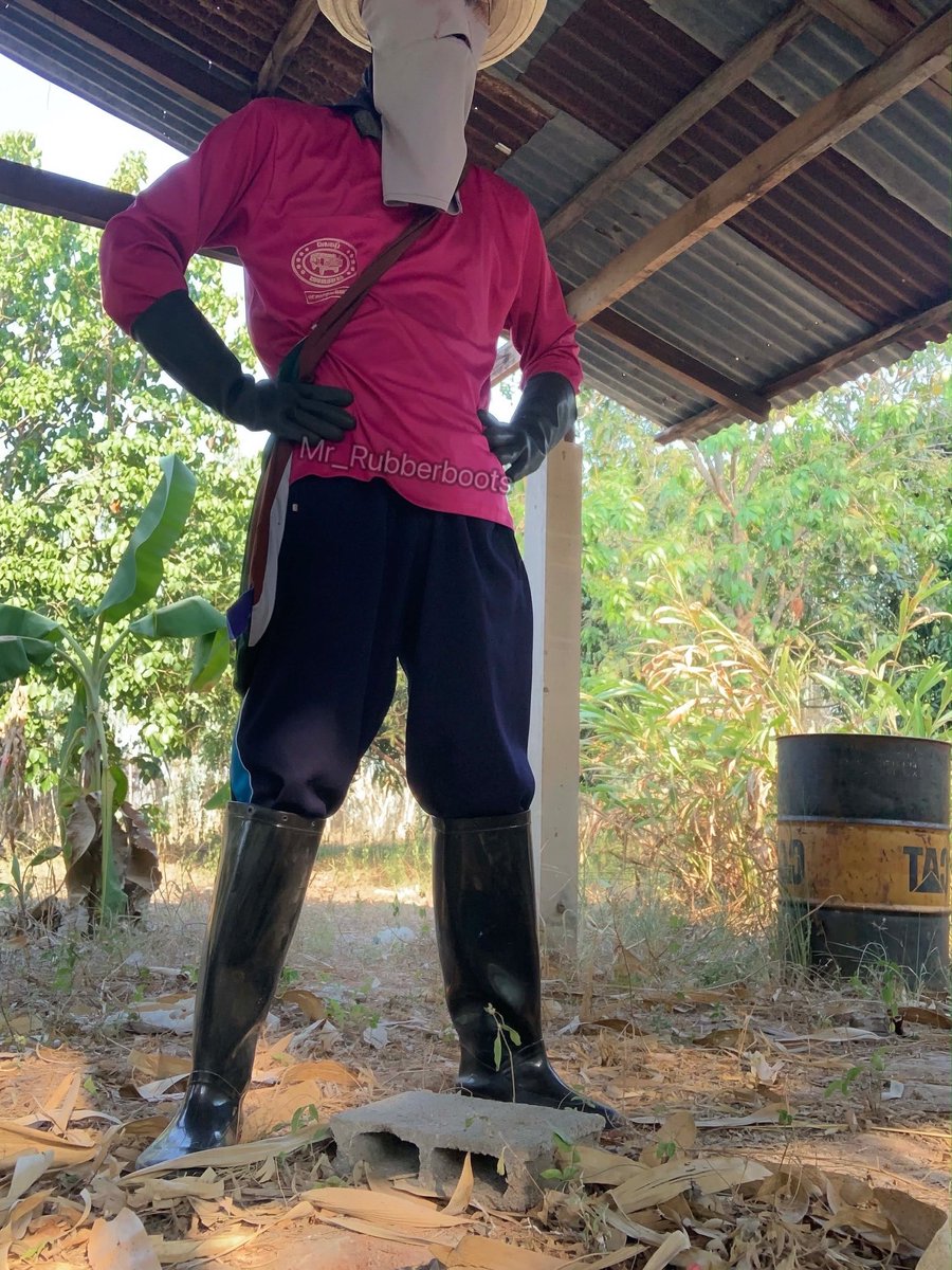 บ่าวเสื้อปุ๋ย tweet media
