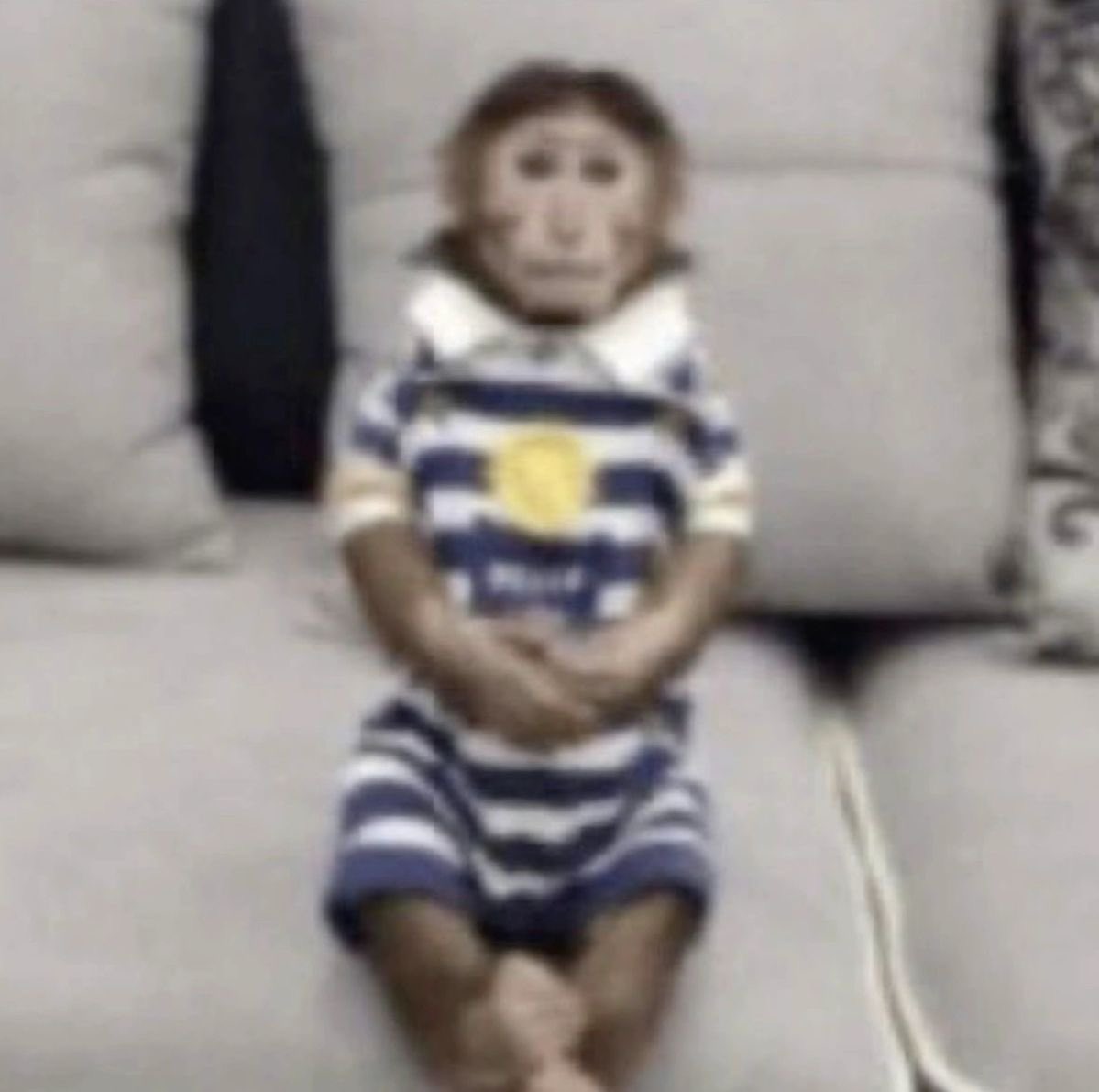 ᥣᧉ𐓣ι . ۫ ꣑ৎ tweet media