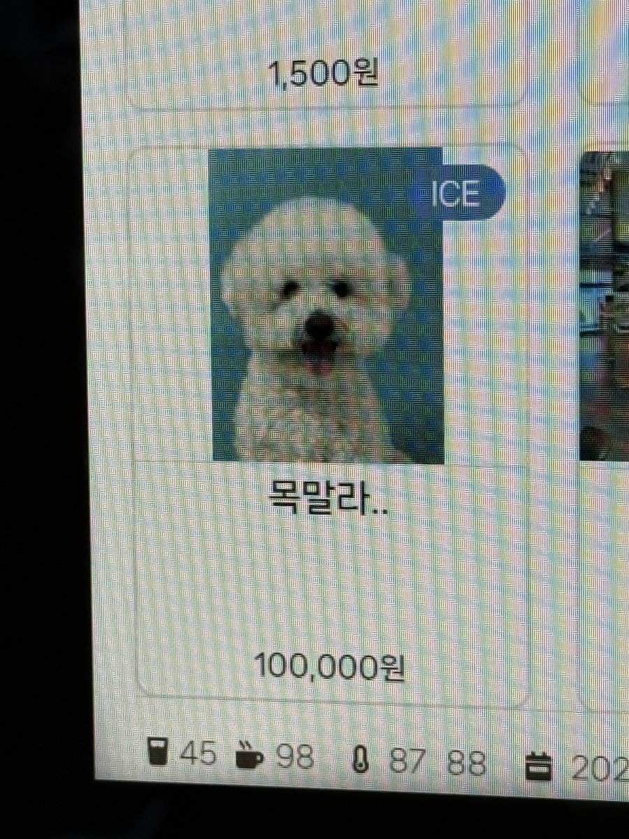 바다 tweet media