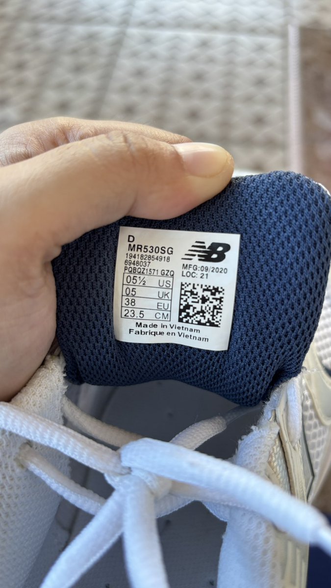 🐨🫩 tweet media