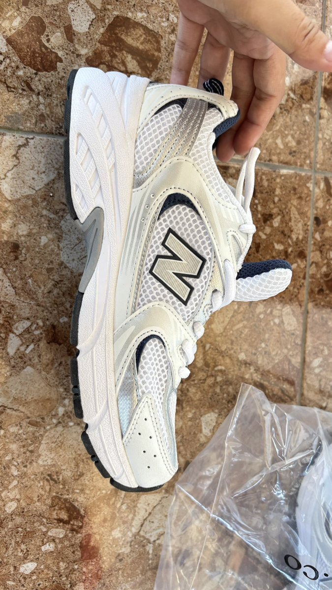 🐨🫩 tweet media