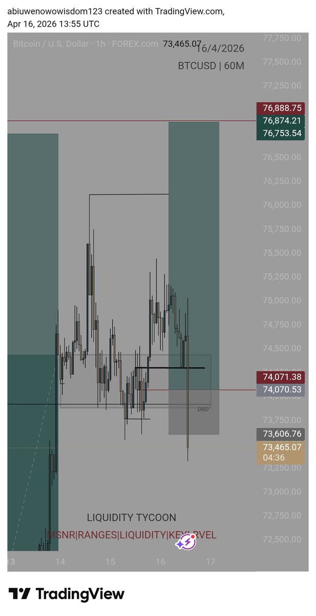 WISDOM Ⓧ tweet media