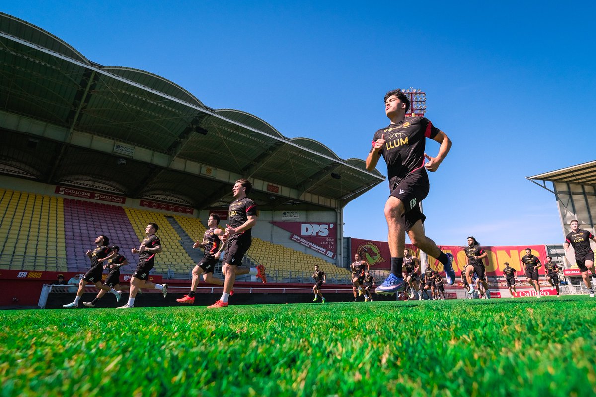 Dragons Catalans tweet media