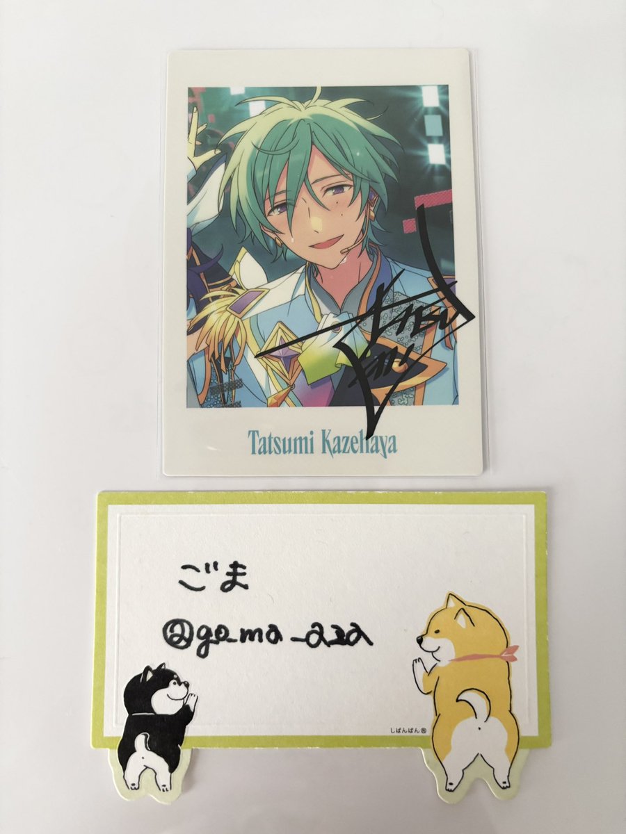 ごま▼ツイフィ有 tweet media