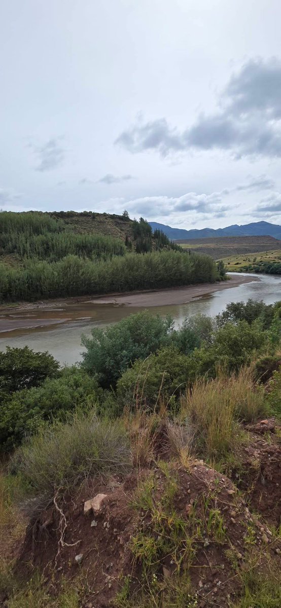Lesotho Tourism tweet media